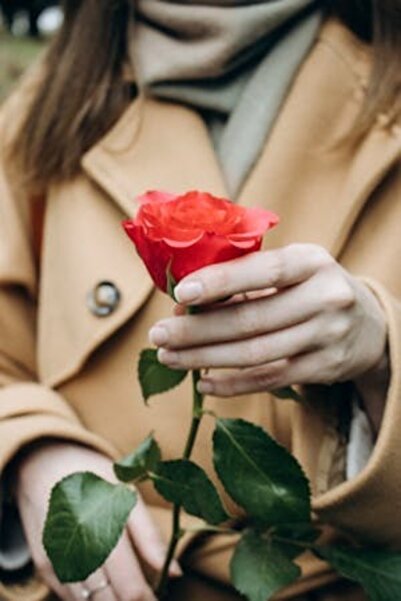 OEM Tablou decorativ, de perete, cu rama din lemn, 33cm x 24cm, imaginea 2382