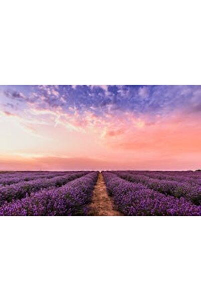 OEM Διακοσμητική επιτοίχια ζωγραφική με ξύλινο πλαίσιο, 33cm x 24cm, εικόνα 2150