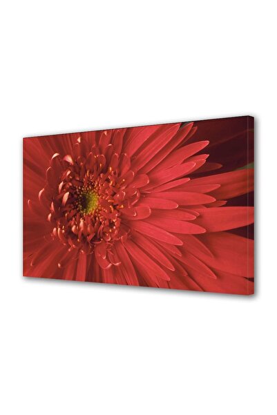 OEM Tablou decorativ, de perete, cu rama din lemn, 33cm x 24cm,cu flori1287