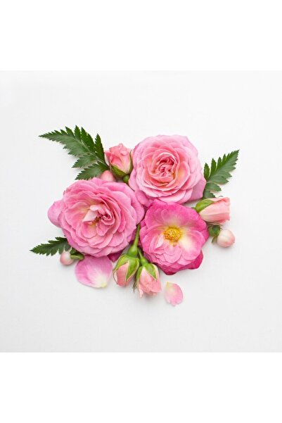 OEM Διακοσμητική επιτοίχια ζωγραφική με ξύλινο πλαίσιο, 33cm x 24cm, εικόνα 2177