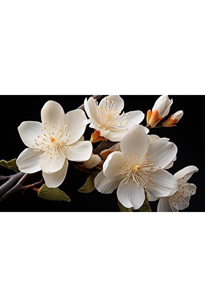 OEM Tablou decorativ, de perete, cu rama din lemn, 33cm x 24cm, imaginea 2569