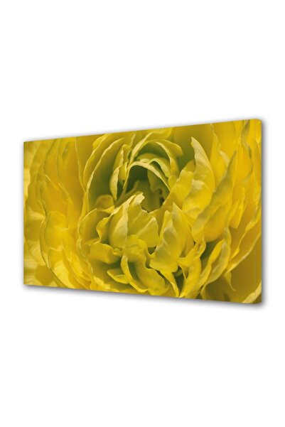 OEM Tablou decorativ, de perete, cu rama din lemn, 33cm x 24cm,cu flori1301