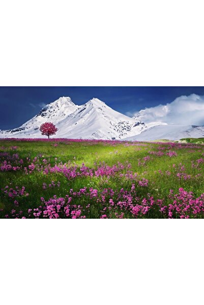 OEM Διακοσμητική επιτοίχια ζωγραφική με ξύλινο πλαίσιο, 33cm x 24cm, εικόνα 2023