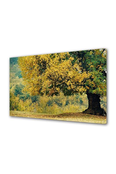 OEM Tablou decorativ, de perete, cu rama din lemn, 33cm x 24cm,cu flori2022