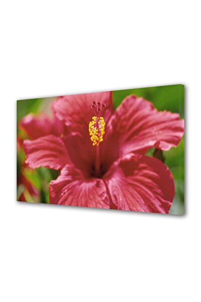 OEM Tablou decorativ, de perete, cu rama din lemn, 33cm x 24cm,cu flori1532