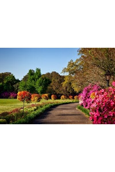 OEM Διακοσμητική επιτοίχια ζωγραφική με ξύλινο πλαίσιο, 33cm x 24cm, εικόνα 2104