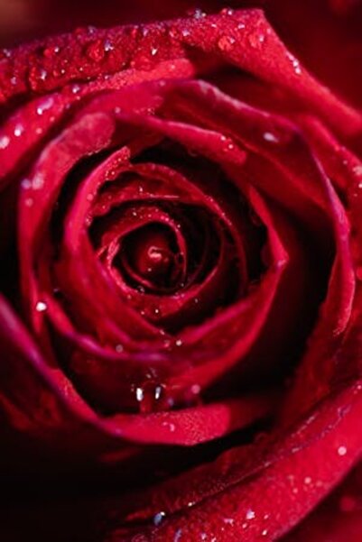 OEM Tablou decorativ, de perete, cu rama din lemn, 33cm x 24cm, imaginea 2404