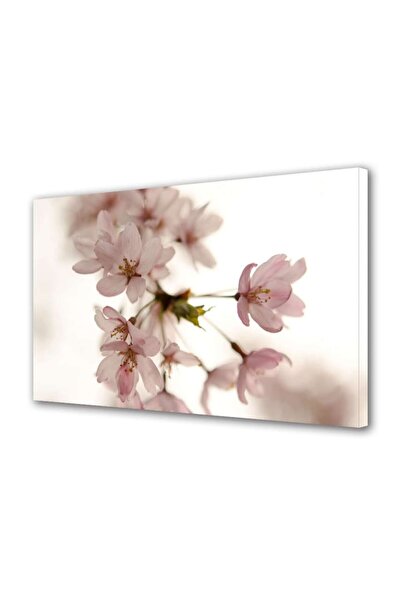 OEM Tablou decorativ, de perete, cu rama din lemn, 33cm x 24cm,cu flori1512