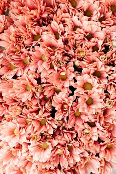 OEM Διακοσμητική επιτοίχια ζωγραφική με ξύλινο πλαίσιο, 33cm x 24cm, εικόνα 2083