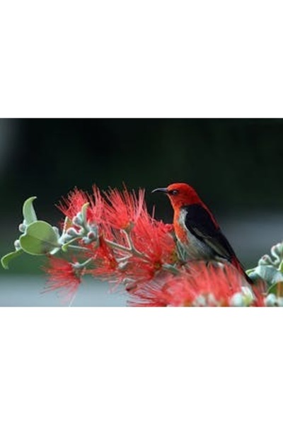 OEM Διακοσμητική επιτοίχια ζωγραφική με ξύλινο πλαίσιο, 33cm x 24cm, εικόνα 2192