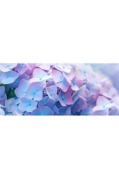 OEM Διακοσμητική επιτοίχια ζωγραφική με ξύλινο πλαίσιο, 33cm x 24cm, εικόνα 2582