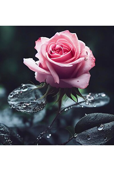 OEM Διακοσμητική επιτοίχια ζωγραφική με ξύλινο πλαίσιο, 33cm x 24cm, εικόνα 2322