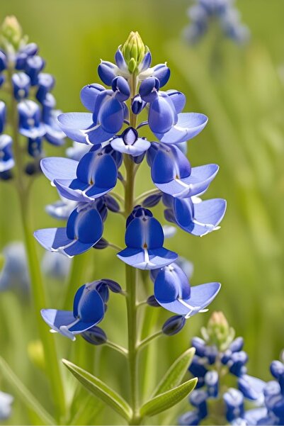 OEM Декоративен килим SONGMICS, Неплъзгащ се, Може да се пере в пералня, 120x...