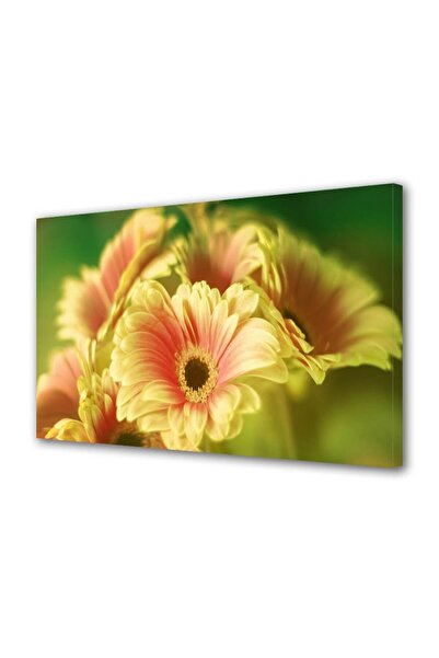 OEM Tablou decorativ, de perete, cu rama din lemn, 33cm x 24cm,cu flori1391