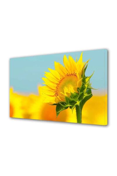 OEM Tablou decorativ, de perete, cu rama din lemn, 33cm x 24cm,cu flori1657