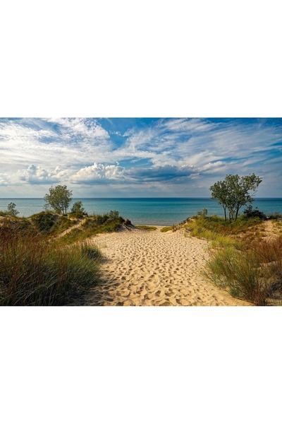 OEM Tablou decorativ, de perete, cu rama din lemn, 33cm x 24cm, cu flori2435