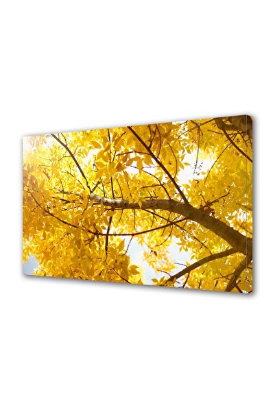 OEM Tablou decorativ, de perete, cu rama din lemn, 33cm x 24cm,cu flori1836