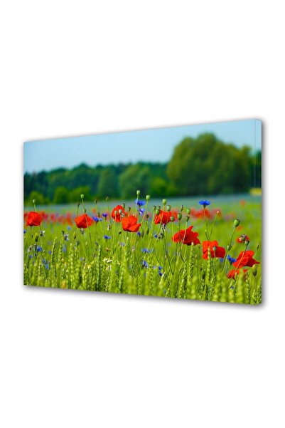 OEM Tablou decorativ, de perete, cu rama din lemn, 33cm x 24cm,cu flori1622