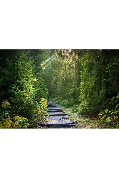 OEM Tablou decorativ, de perete, cu rama din lemn, 33cm x 24cm, cu flori2331