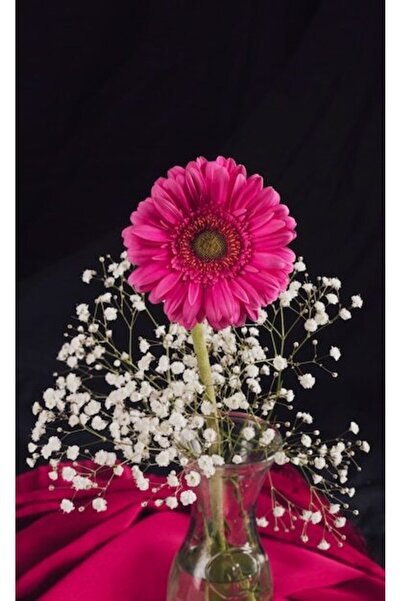 OEM Διακοσμητική επιτοίχια ζωγραφική με ξύλινο πλαίσιο, 33cm x 24cm, εικόνα 2499