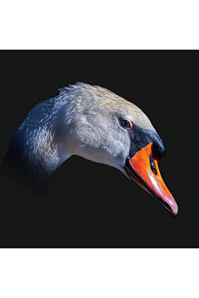 OEM Παπούτσια για την παραλία και το νερό, αντιολισθητική σόλα από καουτσούκ,...