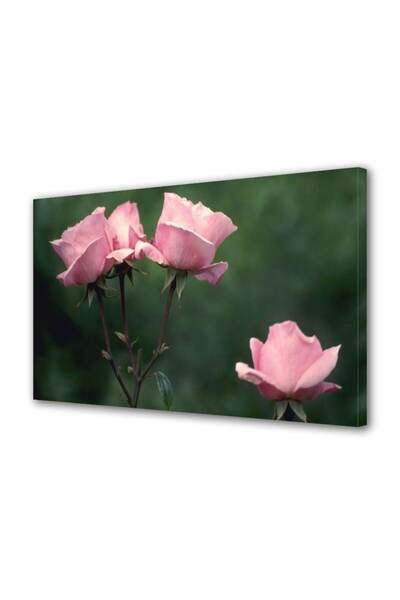 OEM Tablou decorativ, de perete, cu rama din lemn, 33cm x 24cm,cu flori1266