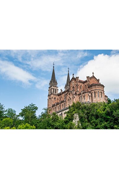 OEM Bara tractiuni telescopica pentru usa, din otel cu capete cauciuc, lungim...