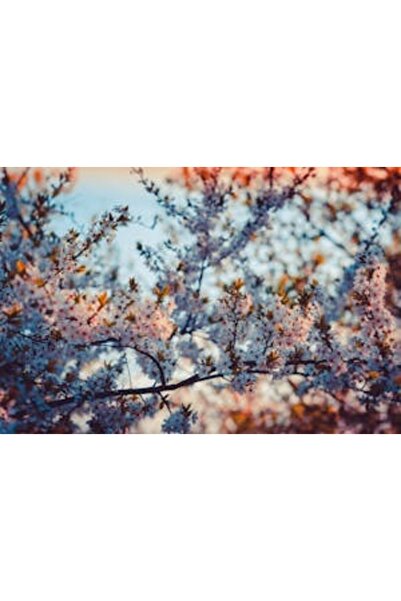 OEM Διακοσμητική επιτοίχια ζωγραφική με ξύλινο πλαίσιο, 33cm x 24cm, εικόνα 2227