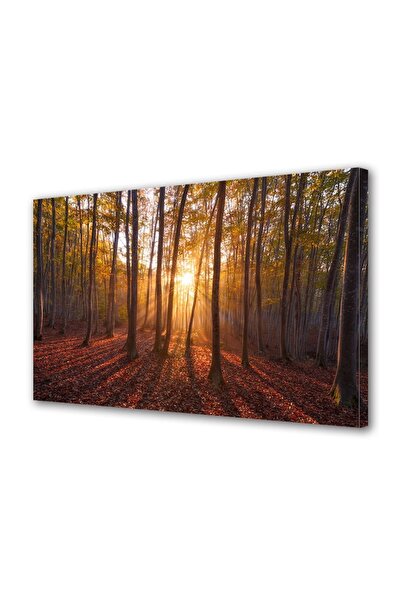 OEM Tablou decorativ, de perete, cu rama din lemn, 33cm x 24cm,cu flori1987