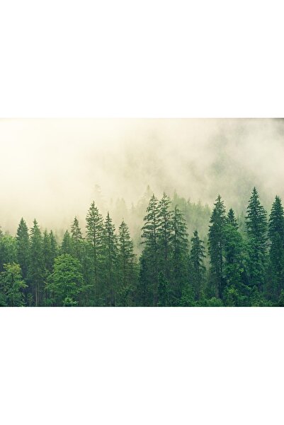 OEM Tablou decorativ, de perete, cu rama din lemn, 33cm x 24cm, imaginea 2020