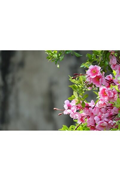 OEM Διακοσμητική επιτοίχια ζωγραφική με ξύλινο πλαίσιο, 33cm x 24cm, εικόνα 2331