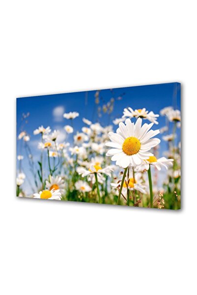 OEM Tablou decorativ, de perete, cu rama din lemn, 33cm x 24cm,cu flori1350