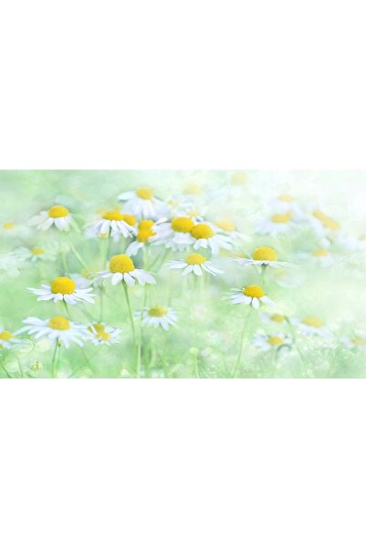 OEM Tablou decorativ, de perete, cu rama din lemn, 33cm x 24cm, cu flori3474