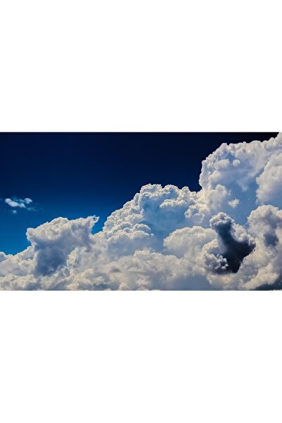 OEM Tablou decorativ, de perete, cu rama din lemn, 33cm x 24cm, cu flori2388