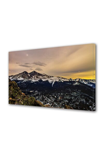 OEM Tablou decorativ, de perete, cu rama din lemn, 33cm x 24cm,cu flori2000