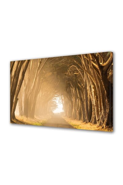 OEM Tablou decorativ, de perete, cu rama din lemn, 33cm x 24cm,cu flori2073