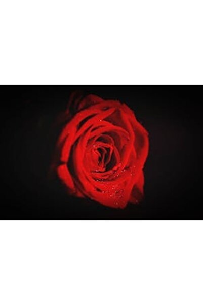 OEM Διακοσμητική επιτοίχια ζωγραφική με ξύλινο πλαίσιο, 33cm x 24cm, εικόνα 2369