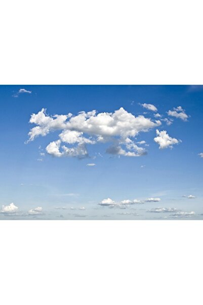 OEM Tablou decorativ, de perete, cu rama din lemn, 33cm x 24cm, cu flori2441