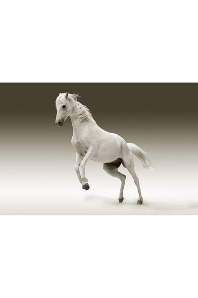 OEM Decorative wall painting with wooden frame, 33cm x 24cm, with flowers2340