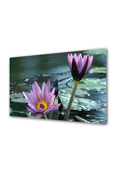 OEM Tablou decorativ, de perete, cu rama din lemn, 33cm x 24cm,cu flori1305