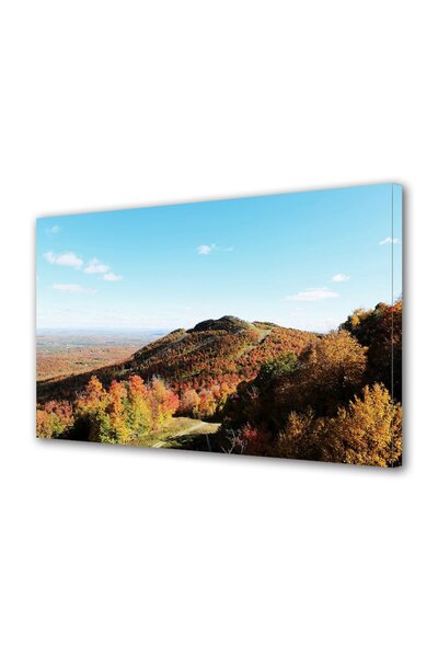 OEM Tablou decorativ, de perete, cu rama din lemn, 33cm x 24cm,cu flori2051