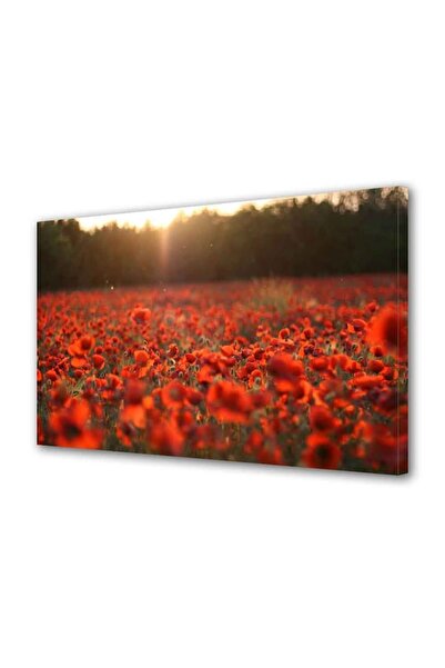 OEM Tablou decorativ, de perete, cu rama din lemn, 33cm x 24cm,cu flori1676