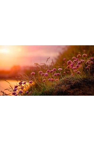 OEM Tablou decorativ, de perete, cu rama din lemn, 33cm x 24cm, imaginea 2110