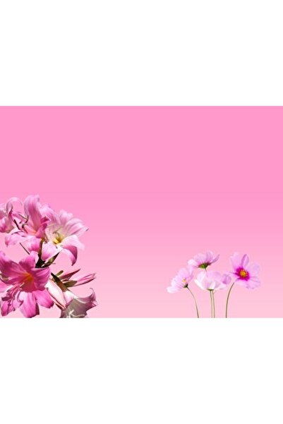 OEM Διακοσμητική επιτοίχια ζωγραφική με ξύλινο πλαίσιο, 33cm x 24cm, εικόνα 2167