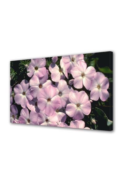 OEM Tablou decorativ, de perete, cu rama din lemn, 33cm x 24cm,cu flori1431