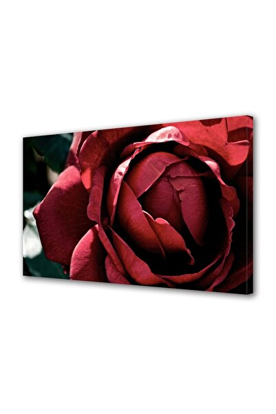 OEM Tablou decorativ, de perete, cu rama din lemn, 33cm x 24cm,cu flori1545