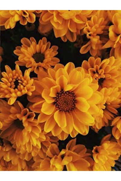 OEM Διακοσμητική επιτοίχια ζωγραφική με ξύλινο πλαίσιο, 33cm x 24cm, εικόνα 2223