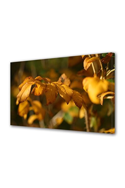 OEM Tablou decorativ, de perete, cu rama din lemn, 33cm x 24cm,cu flori1825