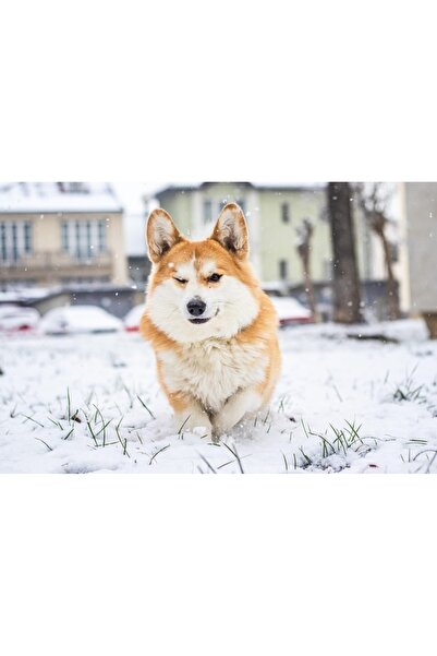 OEM Бар маса VASAGLE кафява, 70x70x91 см - елегантен дизайн с изкуствена кожа...