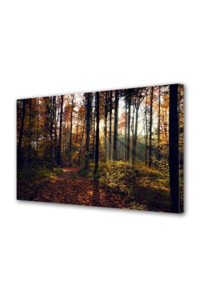 OEM Tablou decorativ, de perete, cu rama din lemn, 33cm x 24cm,cu flori2027